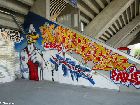 graff psg12